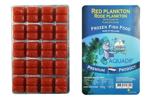 Rotes plankton tiefgekühlt in blisterverpackung